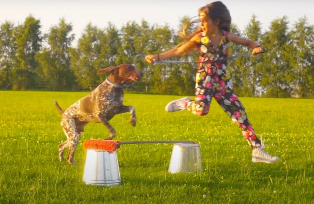 optomap quick and easy video poster