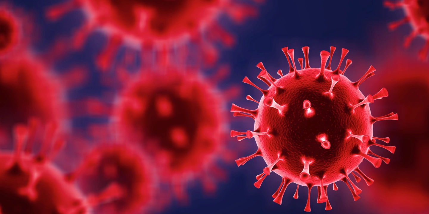 What We Are Doing To Protect You