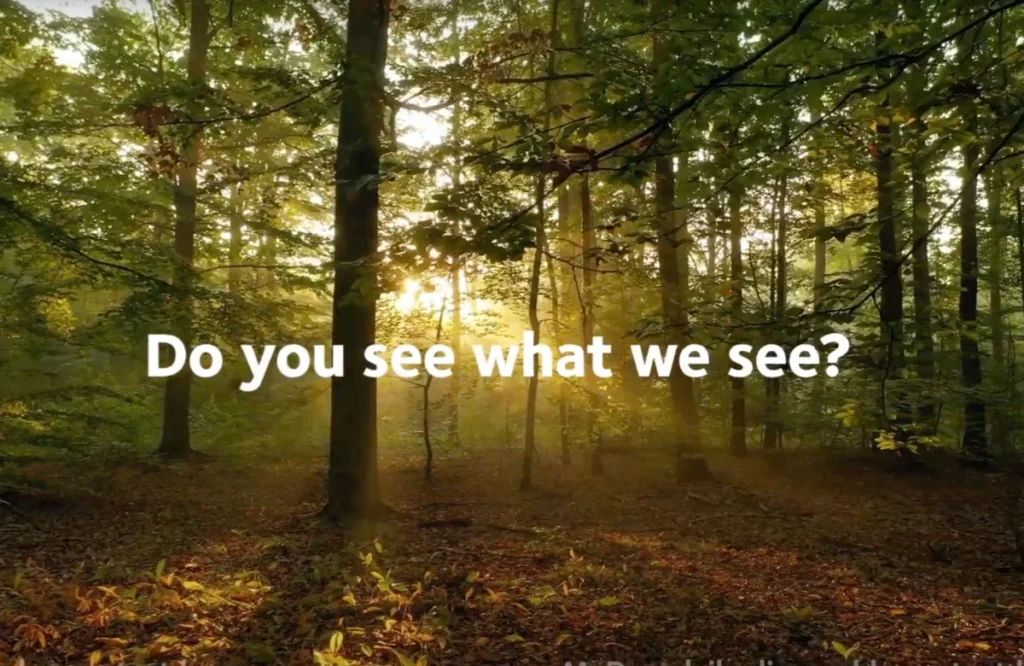 c1 myday plastic neutral video poster